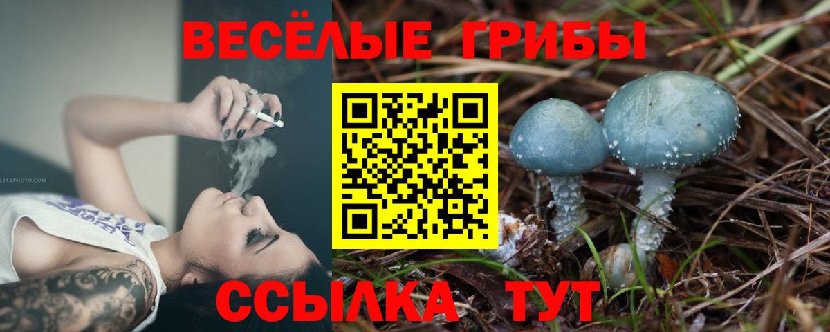 Галлюциногенные грибы мицелий  Вход с VPN  Керчь 